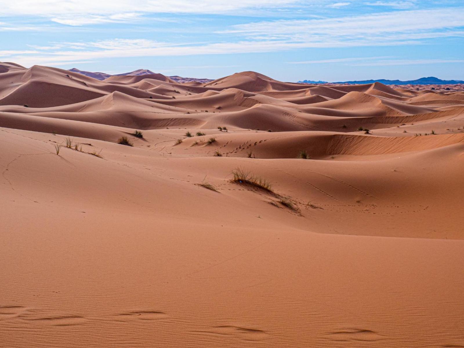 Maison Merzouga Guest House ภายนอก รูปภาพ
